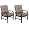 Supfirm Modern Dining Chair With Back and Seat Cushion, Set of 2