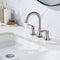 Supfirm Widespread Bathroom Faucet With Drain Assembly