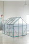 Supfirm Green-6 x 8 FT Outdoor Patio Greenhouse