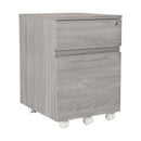 Supfirm Rolling Two Drawer Vertical Filing Cabinet with Lock and Storage, Grey