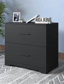 Supfirm 2 -Drawer Lateral Filing Cabinet,Storage Filing Cabinet for Home Office, Black