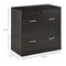 Supfirm Vinsetto 2-Drawer File Cabinet with Lock and Keys, Vertical Storage Filing Cabinet with Hanging Bar for Letter Size, Home Office, Walnut