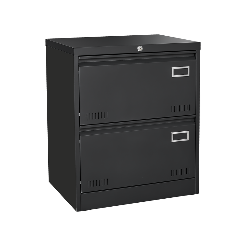 Supfirm 2 Drawer Metal Lateral File Cabinet with Lock,Office Vertical Files Cabinet for Home Office/Legal/Letter/A4,Locking Metal File Cabinet,Assembly Required (Black,with 2 Drawer)