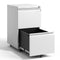 Supfirm 2 Drawer Metal  Mobile File Cabinet, Rolling File Cabinet with Lock for Hanging Legal/Letter/A4 Size,Fully Assembled Except Wheels