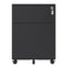 Supfirm 2 Drawer Mobile File Cabinet with Lock Steel File Cabinet for Legal/Letter/A4/F4 Size, Fully Assembled Include Wheels, Home/ Office Design, Black