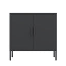 Supfirm Metal Storage Cabinet with 2 Doors and 2 Adjustable Shelves, Steel Lockable Garage Storage Cabinet, Metal File Cabinet for Home Office School Gym, Black