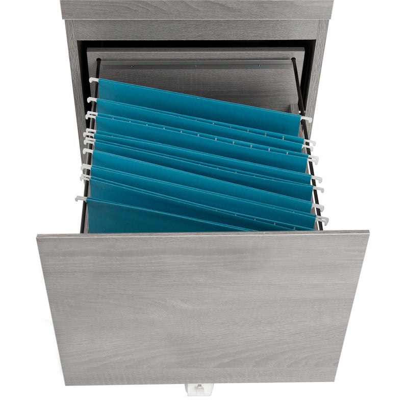 Supfirm Rolling Two Drawer Vertical Filing Cabinet with Lock and Storage, Grey