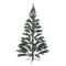 Supfirm 6ft Christmas Tree Artificial Full Xmas Trees with 150pcs LED,Green, for Holiday,Home,Office,Party Decoration,750 Branch Tips Metal Hinges & Foldable Base - Supfirm