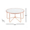 ACME Alivia Coffee Table in Rose Gold & Frosted Glass 81835 - Supfirm