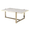 ACME Feit Coffee Table in Faux Marble & Champagne 83105 - Supfirm