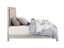 ACME Sliverfluff Eastern King Bed w/LED & Storage, Synthetic Leather & Champagne Finish BD00241EK - Supfirm