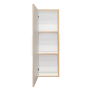 Supfirm DEPOT E-SHOP Magna Medicine Single Door Cabinet, Three Shelves, Light Oak / White - Supfirm