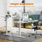 Electric Height Adjustable Standing Desk,Sit to Stand Ergonomic Computer Desk,White,40'' x 24" - Supfirm