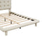 Full Size Velvet Platform Bed with LED Frame, Thick & Soft Fabric and Button-tufted Design Headboard, Beige - Supfirm