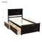 Platform Storage Bed, 2 drawers with wheels, Twin Size Frame, Espresso (New SKU:WF283062AAP) - Supfirm