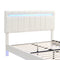 Queen Size Floating Bed Frame with LED Lights and USB Charging,Modern Upholstered Platform LED Bed Frame, White - Supfirm