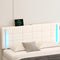 Queen Size Upholstered Bed with LED Lights,Hydraulic Storage System and USB Charging Station,White - Supfirm