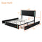 Queen Size Upholstered Platform Bed with LED Lights and USB Charging, Storage Bed with 4 Drawers, Black(Old SKU:WF302558AAB) - Supfirm