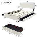 Queen Size Upholstered Platform Bed with Rivet-decorated Headboard, LED bed frame and 4 Drawers, Beige - Supfirm