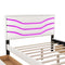 Queen Size Upholstered Storage Platform Bed with LED, 4 Drawers and USB Charging, White - Supfirm