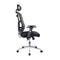 Techni Mobili High Back Executive Mesh Office Chair with Arms, Lumbar Support and Chrome Base, Black - Supfirm