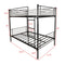 Twin over Twin Bunk Bed, Metal Frame with Ladder - Supfirm