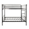 Twin over Twin Bunk Bed, Metal Frame with Ladder - Supfirm