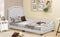 Twin Size Upholstered Platform Bed with Nailhead Trim Decoration and Guardrail, Beige - Supfirm