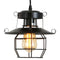 DGY Vintage Farmhouse Pendant Light Rustic Metal Caged Pendant Lights Black Cage Hanging Lamp for Kitchen Island Entryway Bedrooms Living Room Barn,Adjustable Height E26 Bulb（1 Light） - Supfirm