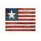 Supfirm "Land of the Free" By Marla Rae, Printed Wall Art, Ready To Hang Framed Poster, White Frame - Supfirm