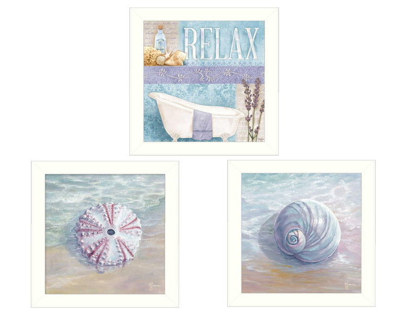 Supfirm "Shells I Collection" 3-Piece Vignette By Mollie B. and G. Janisse, Printed Wall Art, Ready To Hang Framed Poster, White Frame - Supfirm