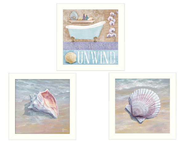 Supfirm "Shells II Collection" 3-Piece Vignette By Mollie B. and G. Janisse, Printed Wall Art, Ready To Hang Framed Poster, White Frame - Supfirm