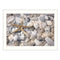 Supfirm "Starfish and Seashell" By Lori Deiter, Printed Wall Art, Ready To Hang Framed Poster, White Frame - Supfirm