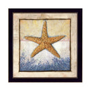 Supfirm "Starfish" By Ed Wargo, Printed Wall Art, Ready To Hang Framed Poster, Black Frame - Supfirm