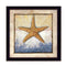 Supfirm "Starfish" By Ed Wargo, Printed Wall Art, Ready To Hang Framed Poster, Black Frame - Supfirm