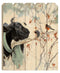 Supfirm "Winter Robin" By Artisan Bonnie Mohr, Printed on Wooden Picket Fence Wall Art - Supfirm