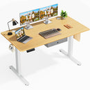 Sweetcrispy Electric Standing Desk with Drawer Adjustable Desk Ergonomic Rising Desk Computer Workstation,55 x 24 Inches Natural - Supfirm